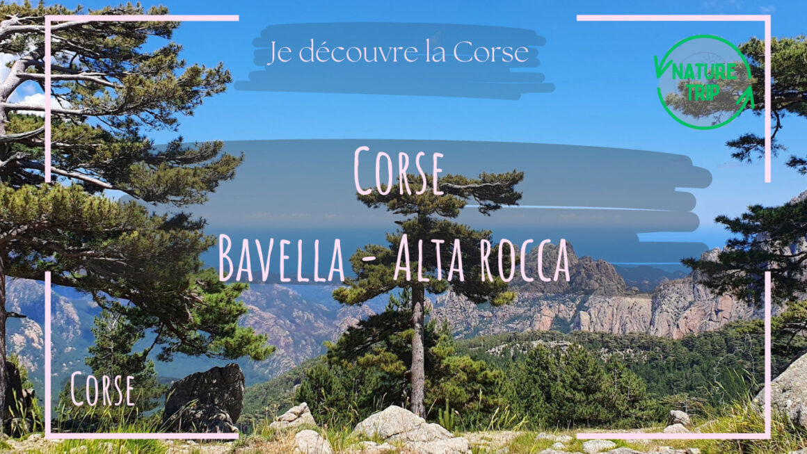 Découvrir la Corse : Les Aiguilles de Bavella et l’Alta Rocca