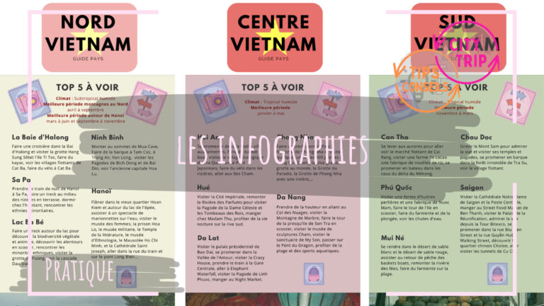 Les infographies Virloblog