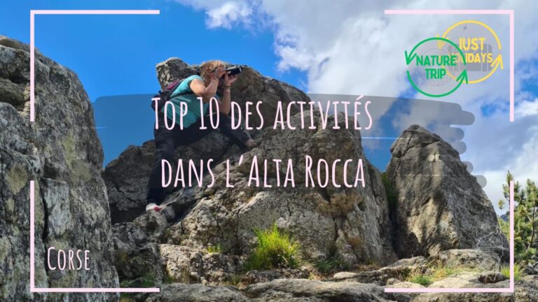 Top 10 des activités dans l&rsquo;Alta Rocca