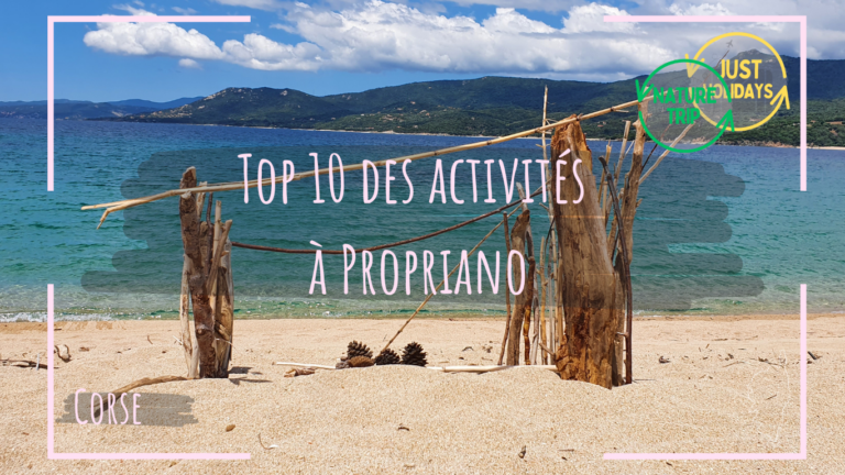 Top 10 des activités à Propriano
