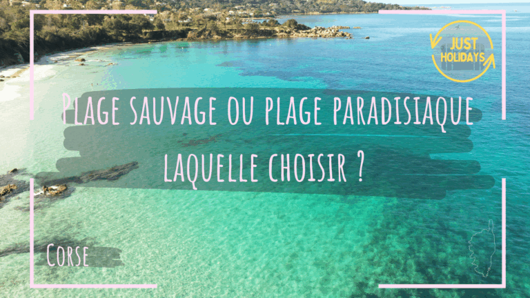 Plage sauvage ou plage paradisiaque en Corse : laquelle choisir ?