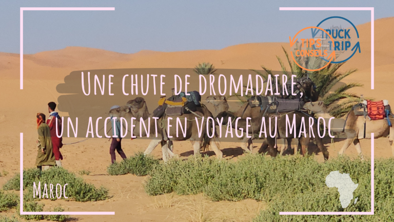 Une chute de dromadaire, un accident en voyage au Maroc